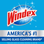 WINDEX